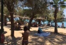 Spiaggia e pineta camping