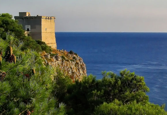 Vista mare dalla scogliera