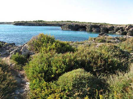 scogliera zona Porto Cesareo Lecce