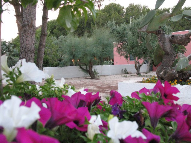 Giardino curato B&B Tenuta Doxi Sannicola - Gallipoli, Lecce