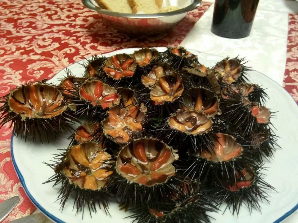 ricci di mare da gustare al ristorante di Castro marina (Puglia)