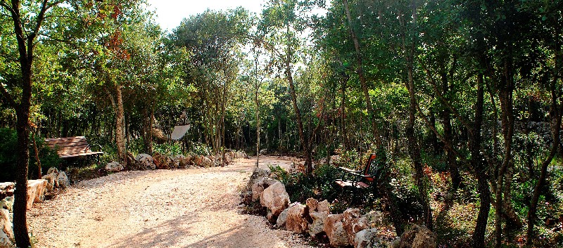 Area Pineta riservata alla masseria Chiancone Torricella Martina Franca